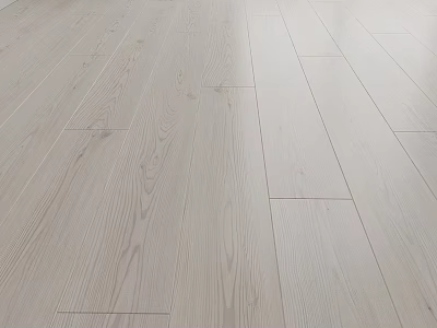 Natural Light Colored Wooden Floor Featuring Visible Grain And Durable Texture 3d model