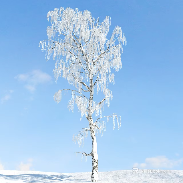 Frosted Arbor Tree With Icy Hanging Branches Against Clear Blue Sky And Clouds 3d model 