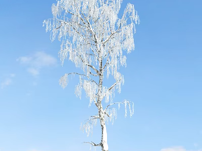 Frosted Arbor Tree With Icy Hanging Branches Against Clear Blue Sky And Clouds 3d model