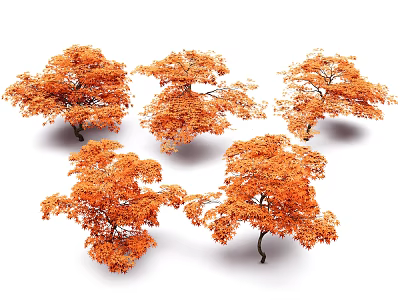 Multiple Vibrant Autumn Trees With Orange Leaves And Lush Foliage 3d model