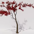 Two Arbor Trees With Red Leaves And Brown Trunks Against White Background And Casting Shadows 3d model