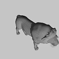 Realistic 3D Lion Model With Brown Mane Standing On Dark Background
