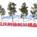 Modern Eucalyptus Trees 3D Model Design With Realistic Foliage And Detailed Features 3d model