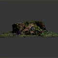 Natural Wooden Stump Decor With Stone Surface And Green Mossy Details