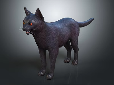 Modern Cat Black Cat Pet Cat 3d model