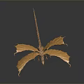 Detailed Golden Flying Dragon Sculpture With Expanded Wings On Dark Gray Background And Reflection