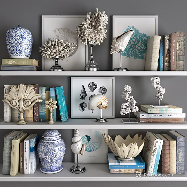 Stylish Decorative Ornament Sets With Blue White Porcelain Jars Coral And Shell Decorations On Shelves 3d model 