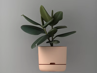Bonsai Potted Plant With Large Green Leaves In Square Pink Pot 3d model