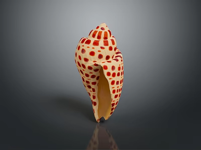 Aquatic Animal Conch With Red Spotted Shell On Gray Background With Reflection 3d model