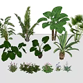 Indoor Plant Combination With Various Green Leaves And Small Flowers Decor