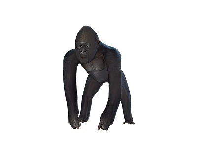 Realistic Black Reptile Standing On White Background In Natural Stance 3d model