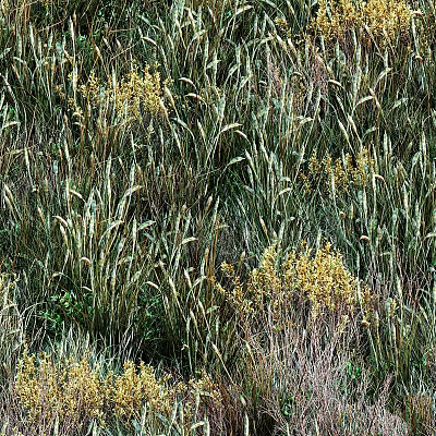 Vibrant Green Grass and Yellow Flowers Thriving in Natural Wild Meadow Field 3d model