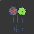 Two Flowering Trees with Orange Red and Purple Blossoms in Full Bloom