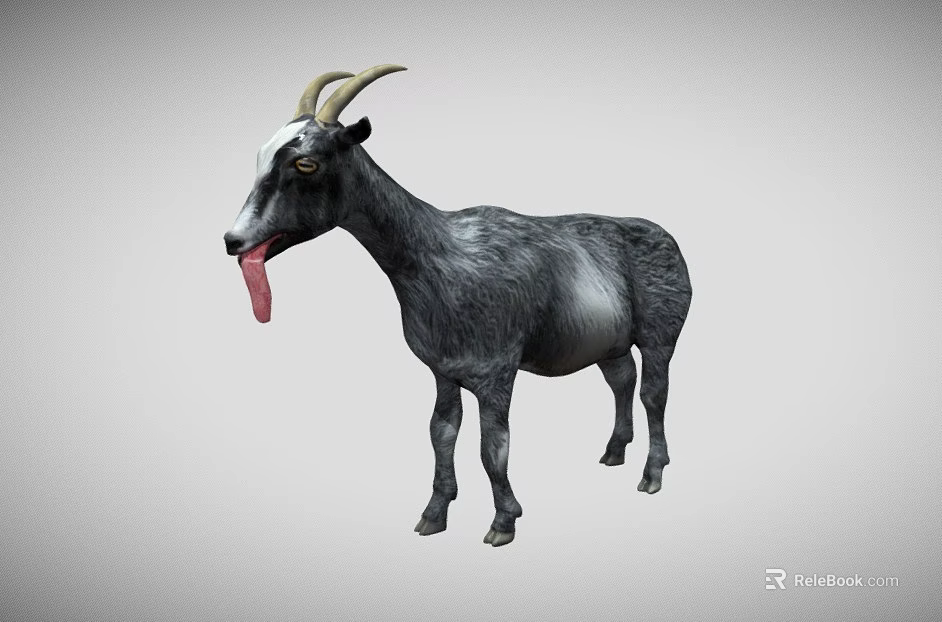 Black and White Goat with Curved Horns Sticking Out Tongue on Gray Background 3d model 