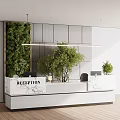 Modern Elegant Reception Desk With Marble Countertop Green Plants And Hanging Greenery