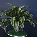 Lush Green Palm Tree with Feathery Fronds on Grassy Circular Base Against Dark Blue Background