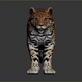 Detailed 3D Render Leopard With Spotted Fur Standing On Gray Background