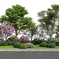 Various Trees with Colorful Foliage Pink Blossoms Shrubs Grass Lawn and Paved Ground 3d model
