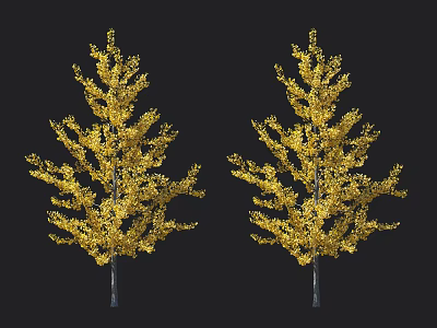 Two Golden Leaf Trees With Vibrant Yellow Foliage And Slender Trunks 3d model
