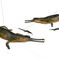 Aquatic Animals Gavial Models Featuring Adult And Baby Specimens On White