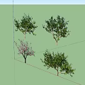 Different Tree Varieties Featuring Blossoming Branches and Lush Green Foliage 3d model