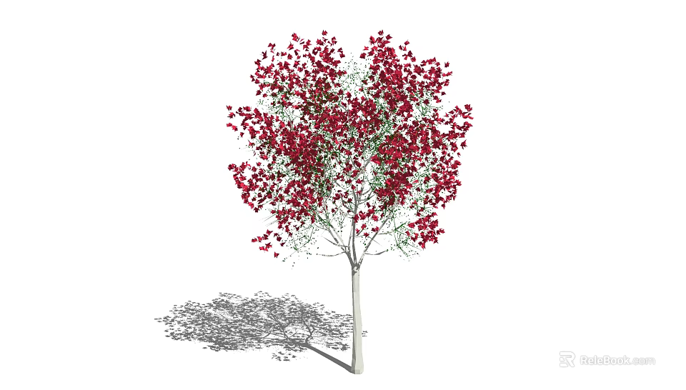 Graceful Arbor With Red Blossoms And Slender Trunk Casting Natural Shadow 3d model
