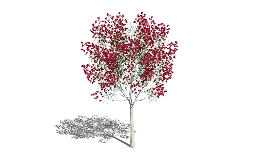 Tree 3d model