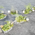 Beautiful Flower And Plant Arrangements With Green Ferns Stones And White Decorative Balls