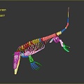 Modern Skeleton Animal Skeleton Lizard Skeleton Skeleton 3d model