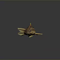 Unique Brown and Yellow Fish with Distinctive Fins and Body Structure on Dark Background