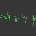 Set Of Dry Leafless Trees With Twisted Branches On White Background