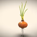 Cartoon Onion Game Movie Character With Big Eyes Smiling Face Green Leaves And Thin Legs