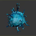 modern eukaryotic cell eukaryotic cell cross section cell structure cell tissue 3d model