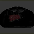 Black Large And Small Bean Bag Chairs With Red Accent Details