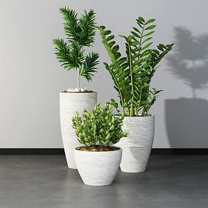 Modern Potted Plant Green Plant Potted Plant Combination Potted Plant Indoor Potted Plant Indoor Green Plant Flowers Potted Plant Pile Green Plant Combination 3d model