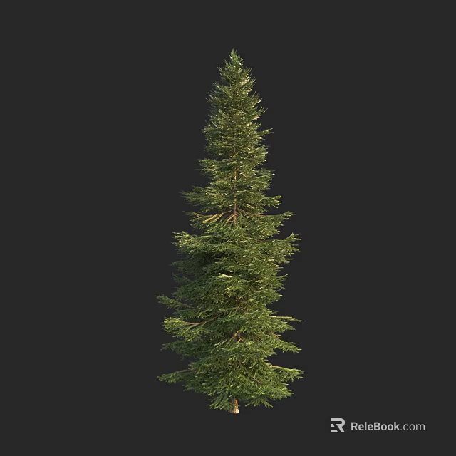Tall Evergreen Arbor with Lush Green Foliage and Natural Vertical Growth 3d model 