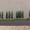 Landscape Plants Trees Greening Steps 3d model