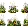 Diverse Garden Plant Combinations With Mixed Flowers Grasses And Foliage