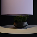 Green Spherical Bonsai Potted Plant In Black Ceramic Pot With Small Twigs