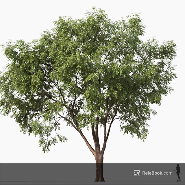 Lush Green Arbor With Dense Foliage Thick Branches And Brown Trunk 3d model 