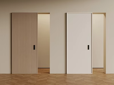 Light Wood And White Sliding Doors In Room With Light Wall And Herringbone Floor 3d model