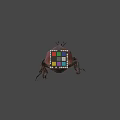 Large Brown Beetle And Multicolored Rubik's Cube On Gray Background