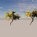 Two Curved Branch Arbor Trees With Abundant Red Fruits On White Background