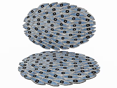 Unique Shaped Area Rugs For Home Decor With Artistic Patterns 3d model