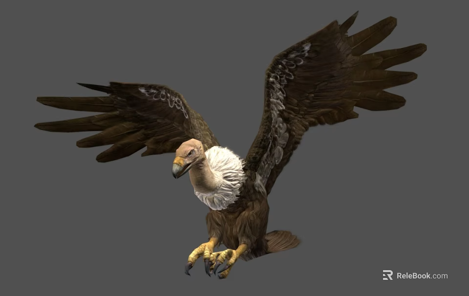 Majestic Vulture Flying With Spread Brown Wings And White Head Plumage 3d model 