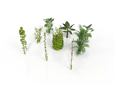 Various Green Plants Collection Including Vines Shrubs And Palm Trees Arranged On White Background 3d model
