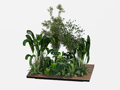 Indoor Landscape With Different Kinds of Green Plants on Wooden Platform 3d model