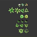 3D Rendered Colorful Plants with Green Leaves Various Colored Flowers on Gray Background and Reflections