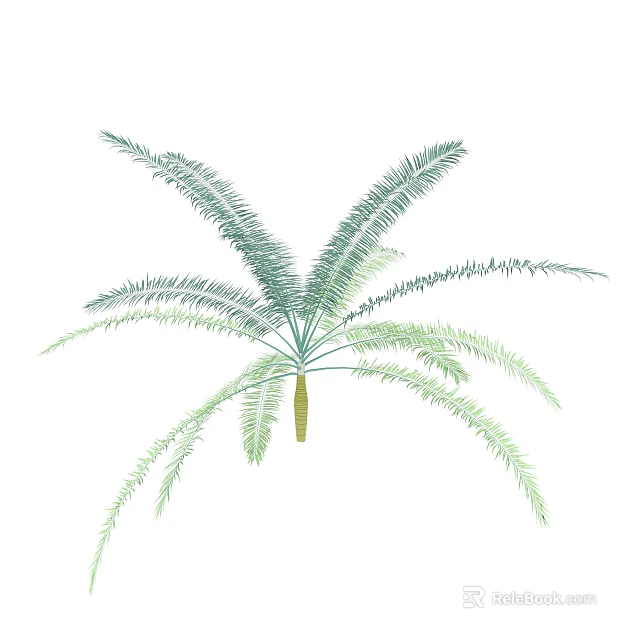 Tropical Palm Arbor With Green Feathery Leaves And Yellow Trunk 3d model 