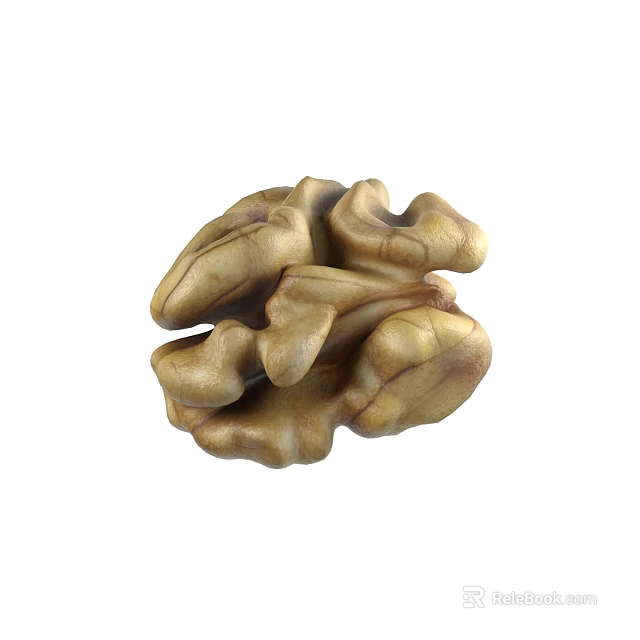 Natural Organic Fresh Whole Walnut Kernel With Light Brown Textured Surface 3d model 